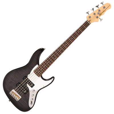 Blackburst Fret-King Perception Custom 5 String Bass Guitar 